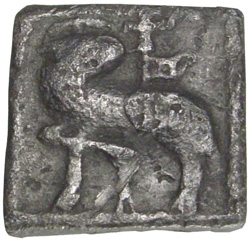 Schaap