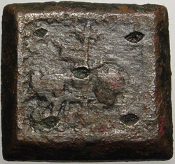 Schaap