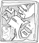 Helm