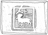 Schaap