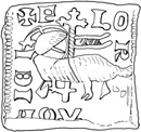 Schaap